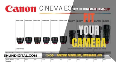 Choosing the Right Camera Lenses: A Quick Guide