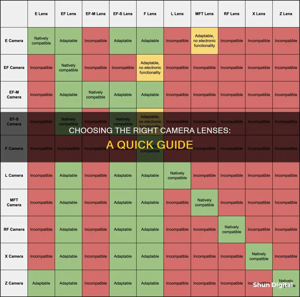 how to know what lenses fit your camera