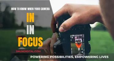 Knowing Your Camera's Focus: A Quick Guide