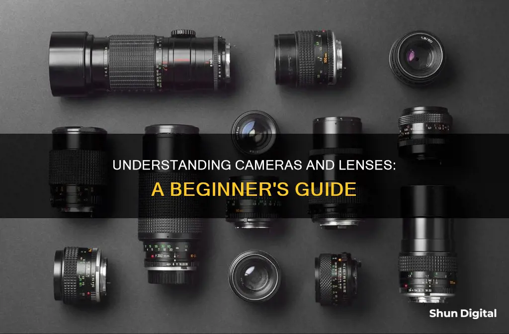 how to learn about cameras and camera lenses