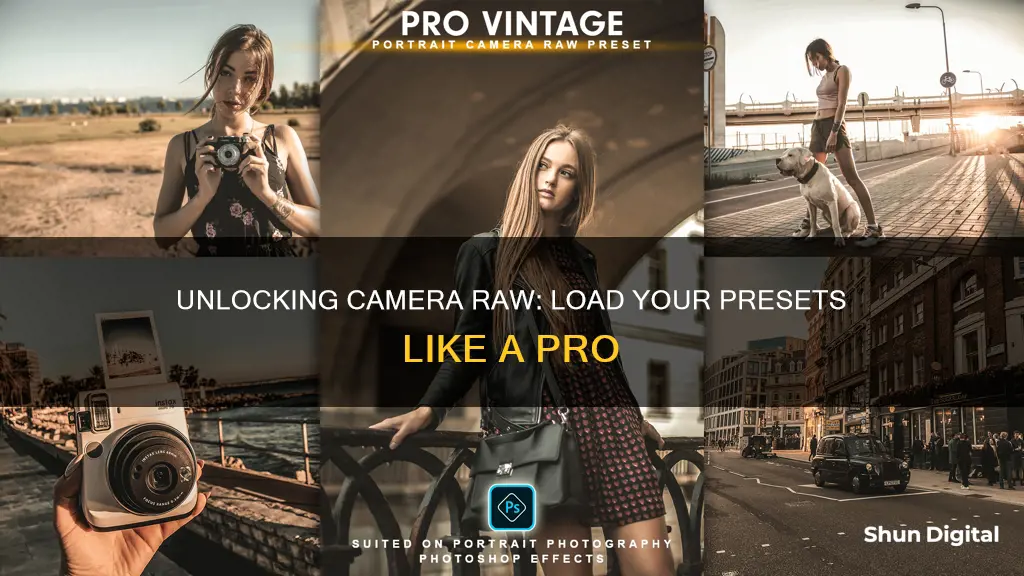 how to load camera raw presets