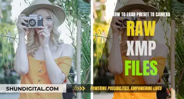 Loading Camera Raw Presets: XMP Files Explained