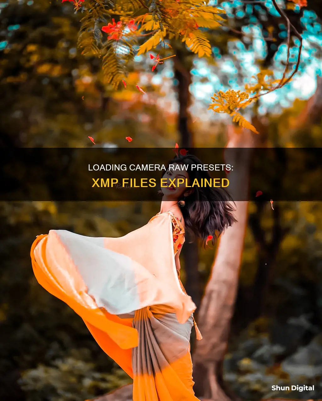 how to load preset to camera raw xmp files