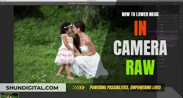 Reducing Camera Noise: Tips for Sharper Raw Images