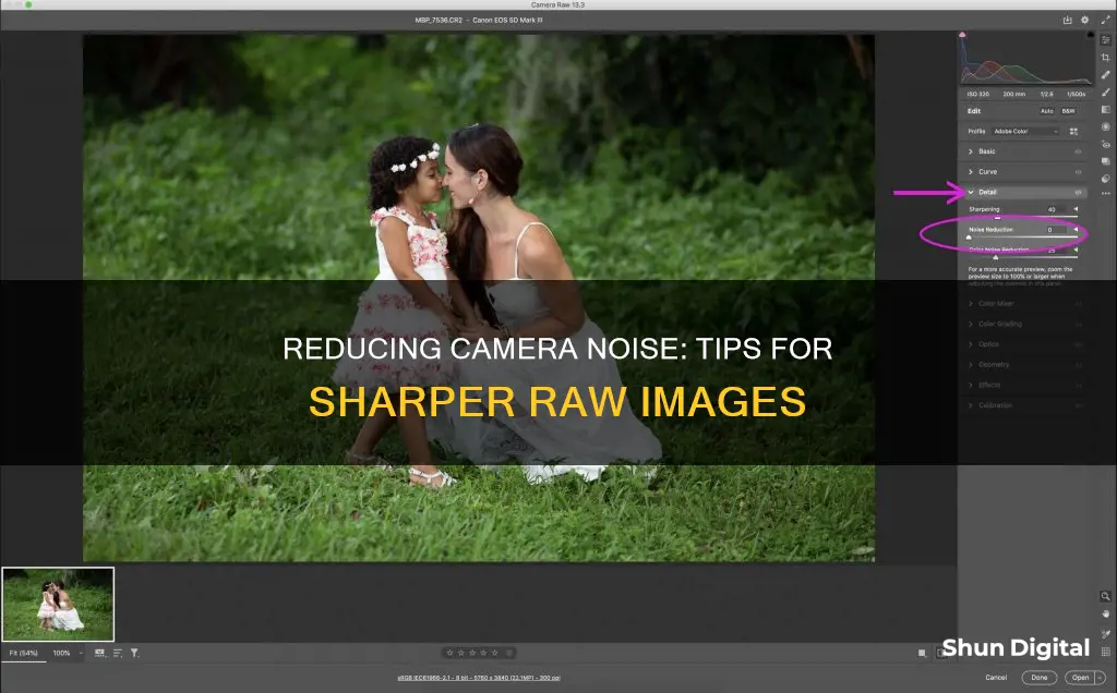 how to lower noise in camera raw