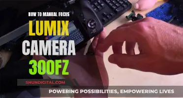 Mastering Manual Focus with the Lumix 300FZ