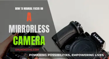 Mastering Manual Focus on Your Mirrorless Camera