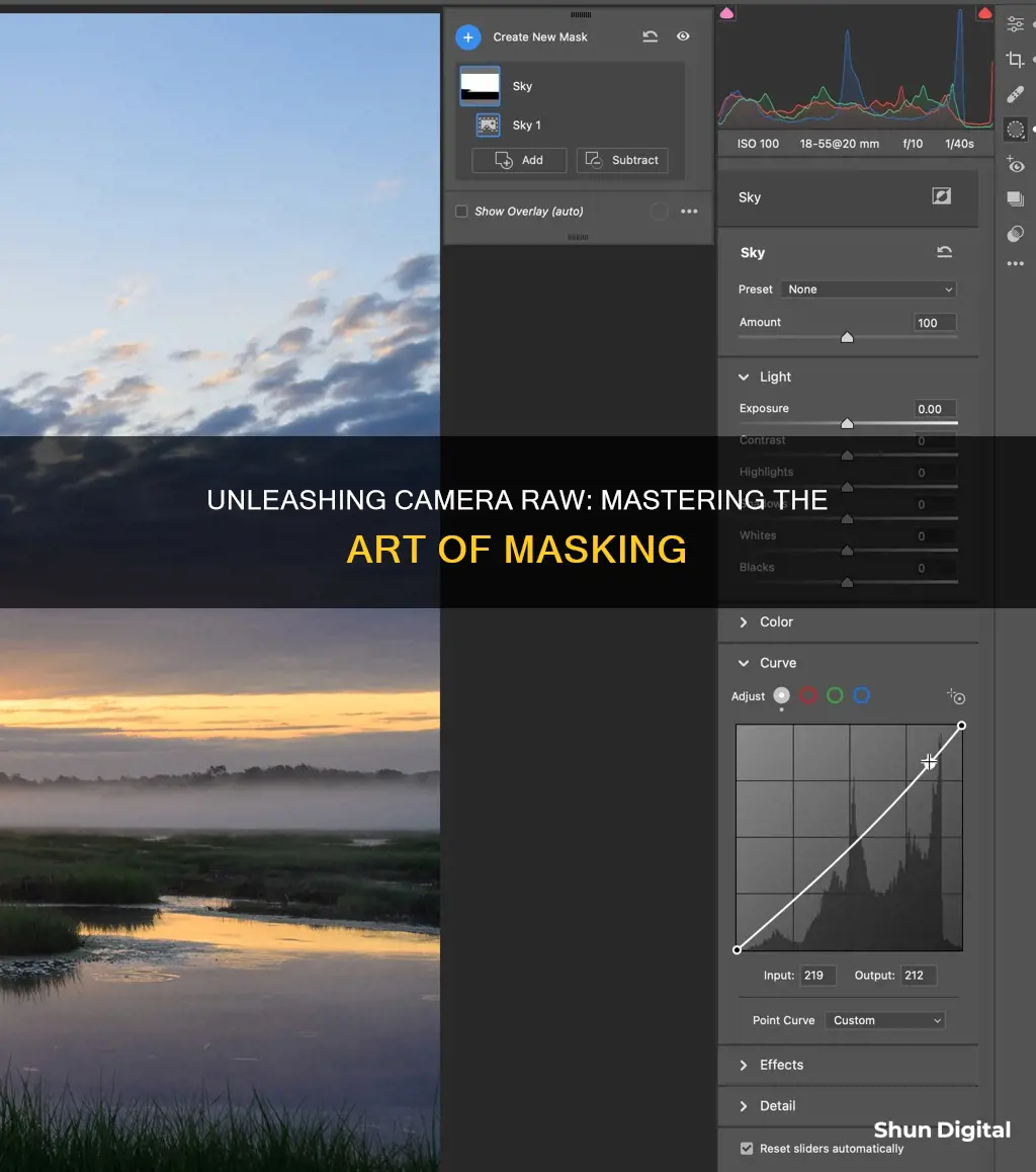 how to mask in camera raw