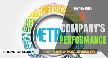 Monitoring Business Performance: Strategies for Success