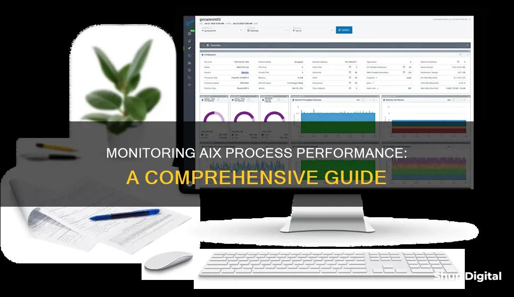 how to monitor aix porcess performance