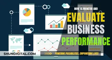 Monitoring and Evaluating Business Performance: Strategies for Success