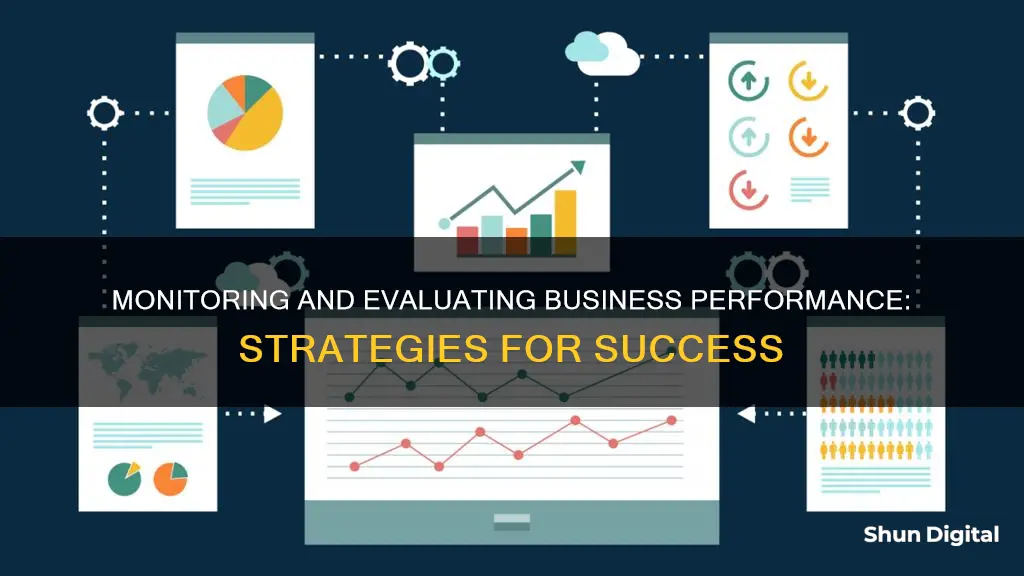 how to monitor and evaluate business performance