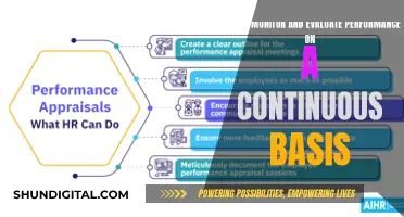 Monitoring Performance: Strategies for Continuous Evaluation and Improvement