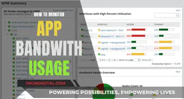 Monitoring App Bandwidth: A Comprehensive Guide to Track Usage