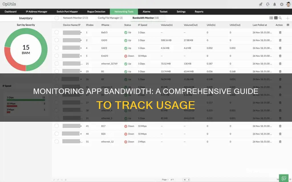 how to monitor app bandwith usage