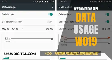 Monitoring App Data Usage: A Comprehensive Guide