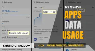 Monitoring App Data Usage: Take Control of Your Mobile Data