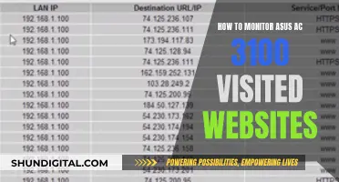 Monitoring the ASUS AC 3100: Tracking Visited Websites