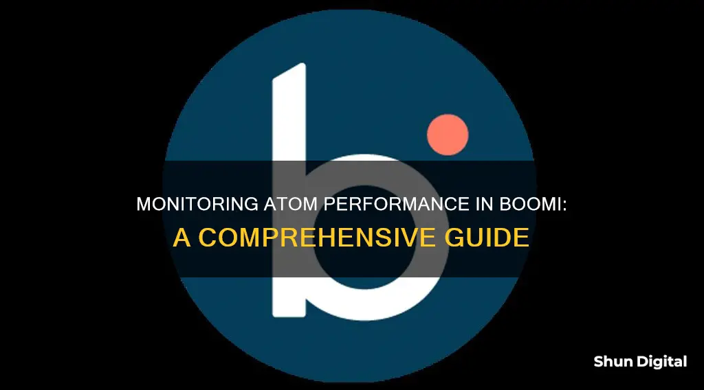 how to monitor atom performance boomi