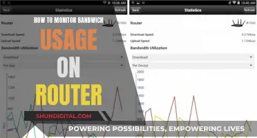 Monitoring Router Bandwidth Usage: A Step-by-Step Guide