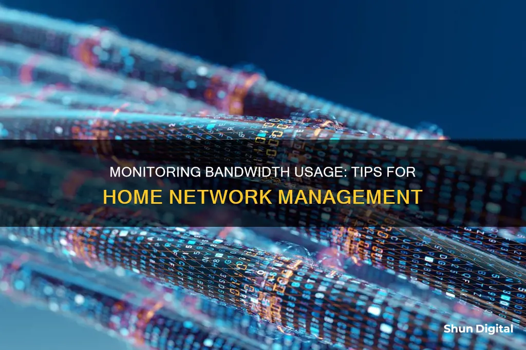 how to monitor bandwidth usage at home