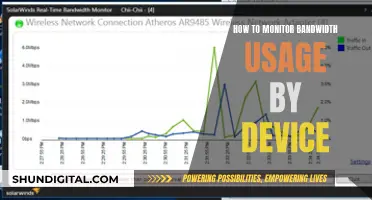 Monitoring Bandwidth Usage: Control by Device