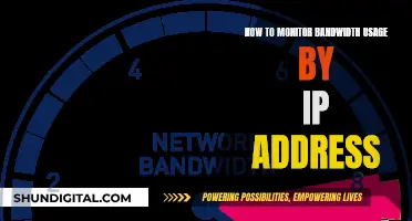 Monitoring Bandwidth Usage: Track IP Address Activity