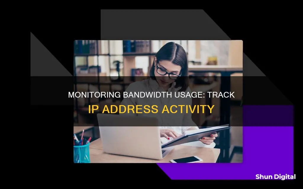 how to monitor bandwidth usage by ip address