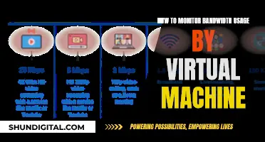 Monitoring Bandwidth Usage: Virtual Machine Management