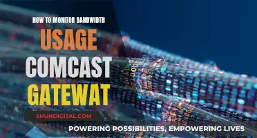 Monitoring Bandwidth Usage: Managing Your Comcast Gateway