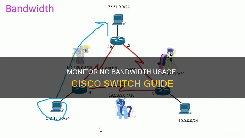 how to monitor bandwidth usage on cisco switch