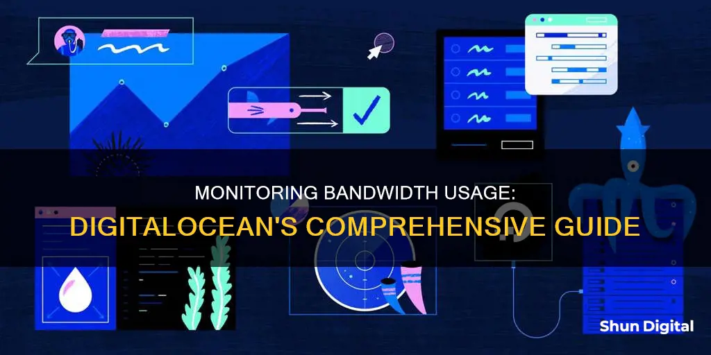 how to monitor bandwidth usage on digitalocean