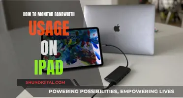 Monitoring Bandwidth Usage on Your iPad: A Step-by-Step Guide