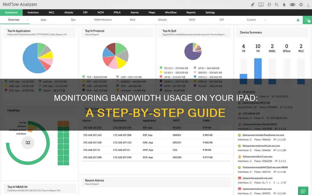 how to monitor bandwidth usage on ipad