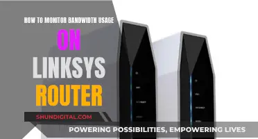 Monitoring Bandwidth Usage: A Guide for Linksys Routers