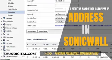 Monitoring Bandwidth Usage by IP on SonicWall