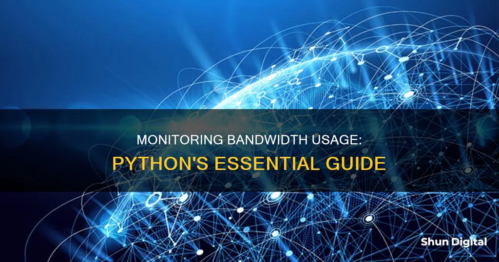 how to monitor bandwidth usage python