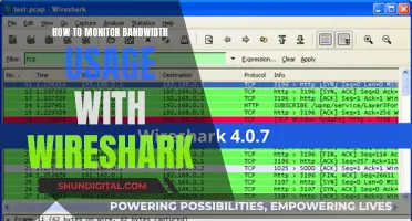 Monitoring Bandwidth Usage: Wireshark's Essential Guide