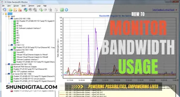 Monitoring Bandwidth Usage: Strategies for Effective Network Management