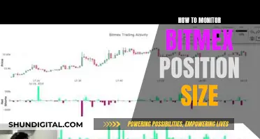 Monitoring BitMEX Position Size: A Comprehensive Guide