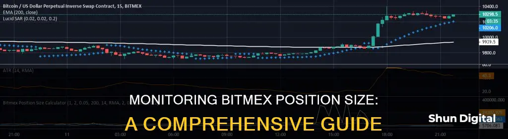 how to monitor bitmex position size