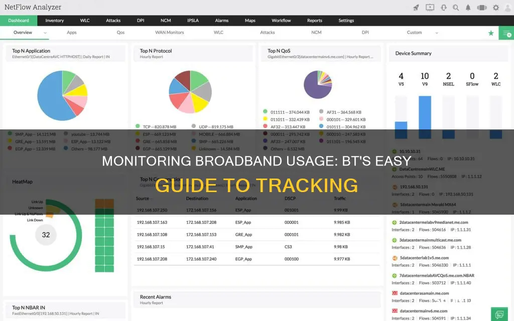 how to monitor broadband usage bt