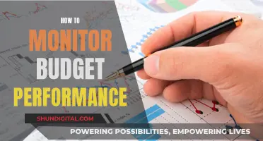 Monitoring Budget Performance: Strategies for Financial Control