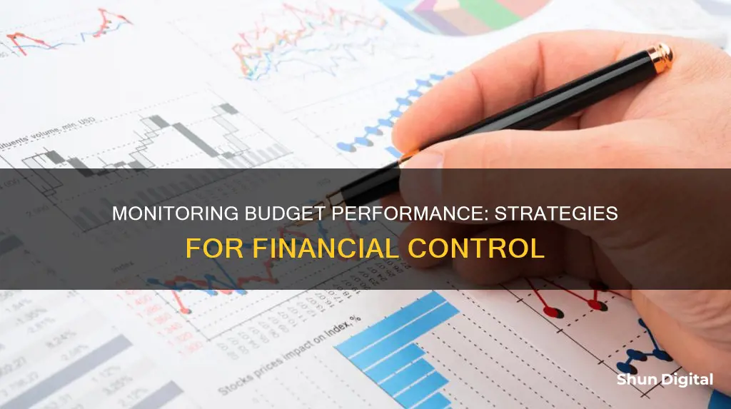 how to monitor budget performance