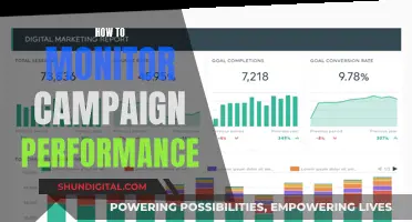 Monitoring Campaign Performance: Strategies for Success