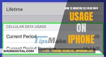 Monitoring Cellular Data Usage on Your iPhone: A Step-by-Step Guide