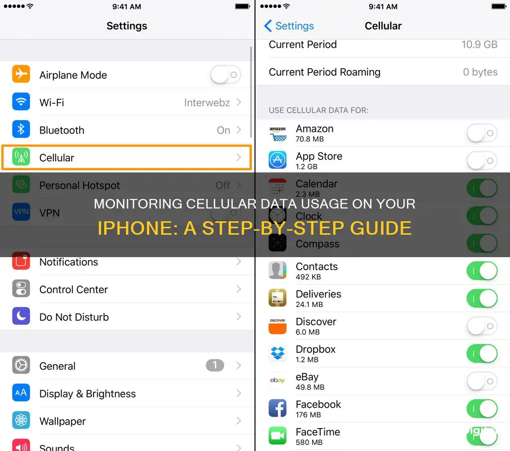 how to monitor cellular data usage on iphone