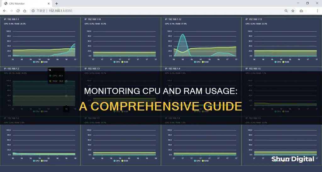 how to monitor cpu and ram usage