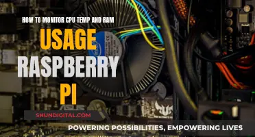 Monitoring Raspberry Pi: CPU Temp and RAM Usage