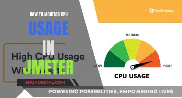 Monitoring CPU Usage: JMeter's Performance Insights